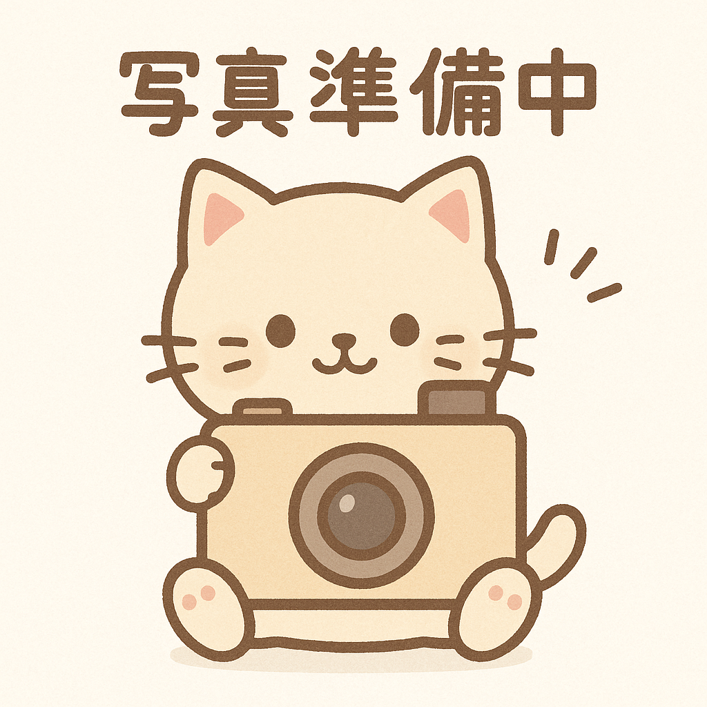 千葉県のマンチカン (かねだい千葉店/2025年3月1日生まれ/女の子/シルバーパッチドタビー)の子猫