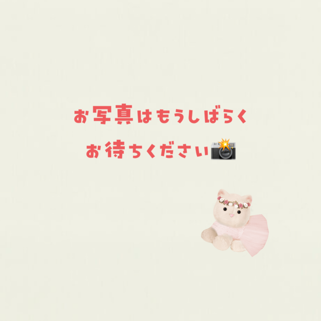 埼玉県のサイベリアン (かねだい桶川店/2025年6月28日生まれ/男の子/ブラウンタビーホワイト)の子猫