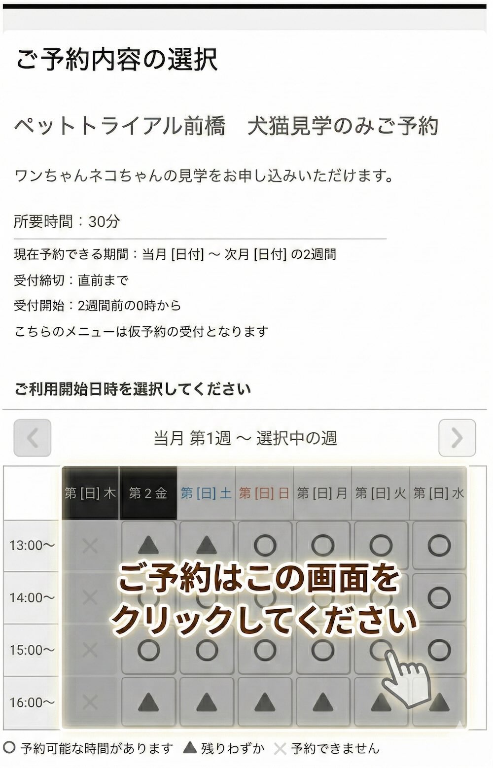 予約カレンダー