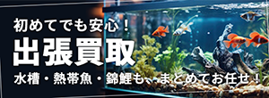 バナー