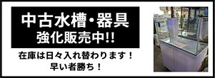 バナー