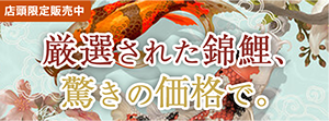 バナー
