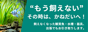 バナー