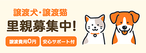 バナー