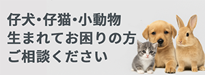 バナー