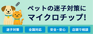 バナー