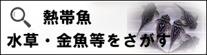 バナー