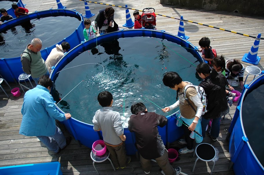 夏休み かねだい黄金鯉釣り堀 きんぎょすくいイベント アリオ亀有 ララガーデン春日部 アクア ペット かねだい