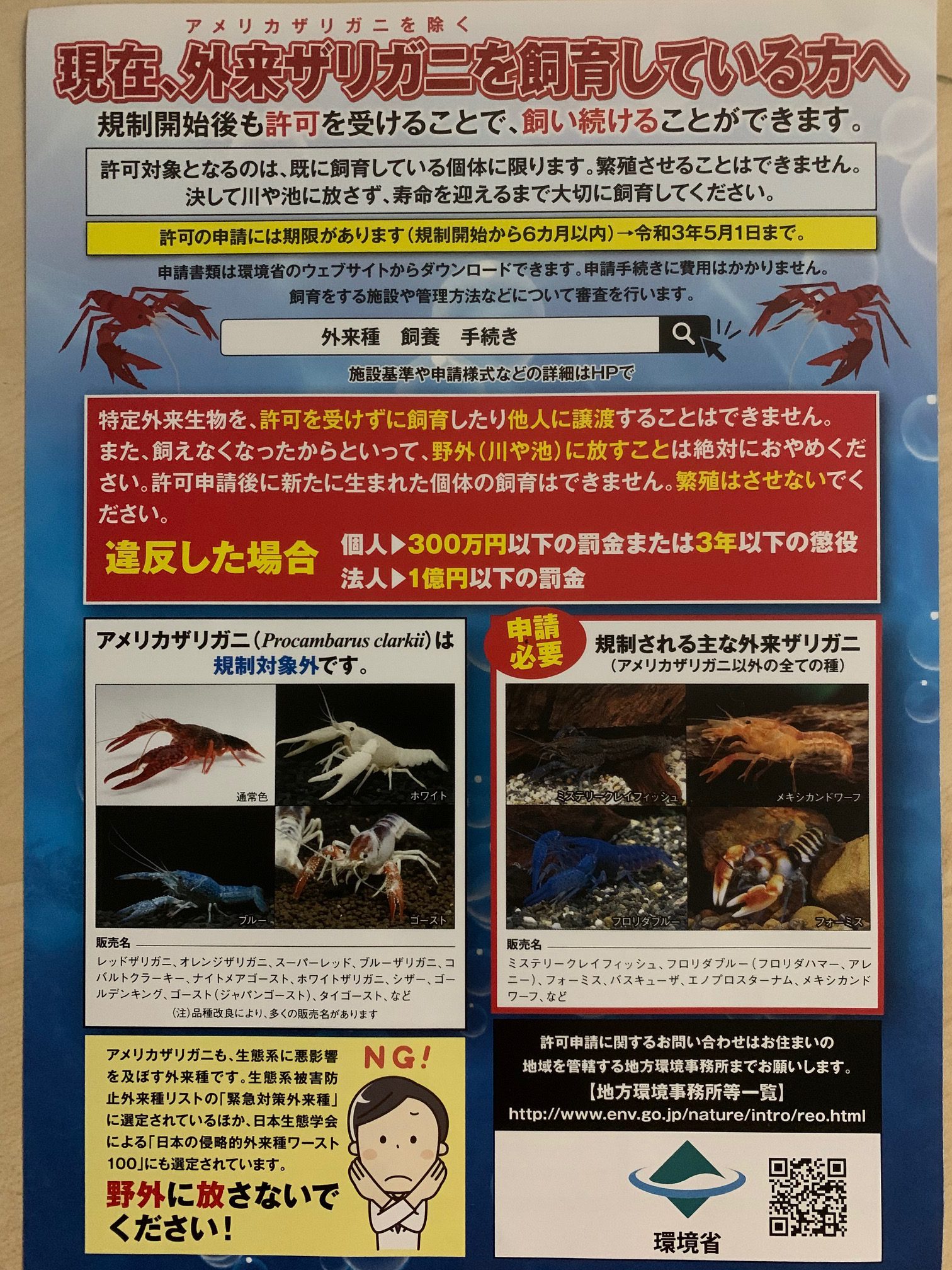 外来ザリガニの飼育 販売 放流などができなくなります アメリカザリガニ以外 アクア ペット かねだい