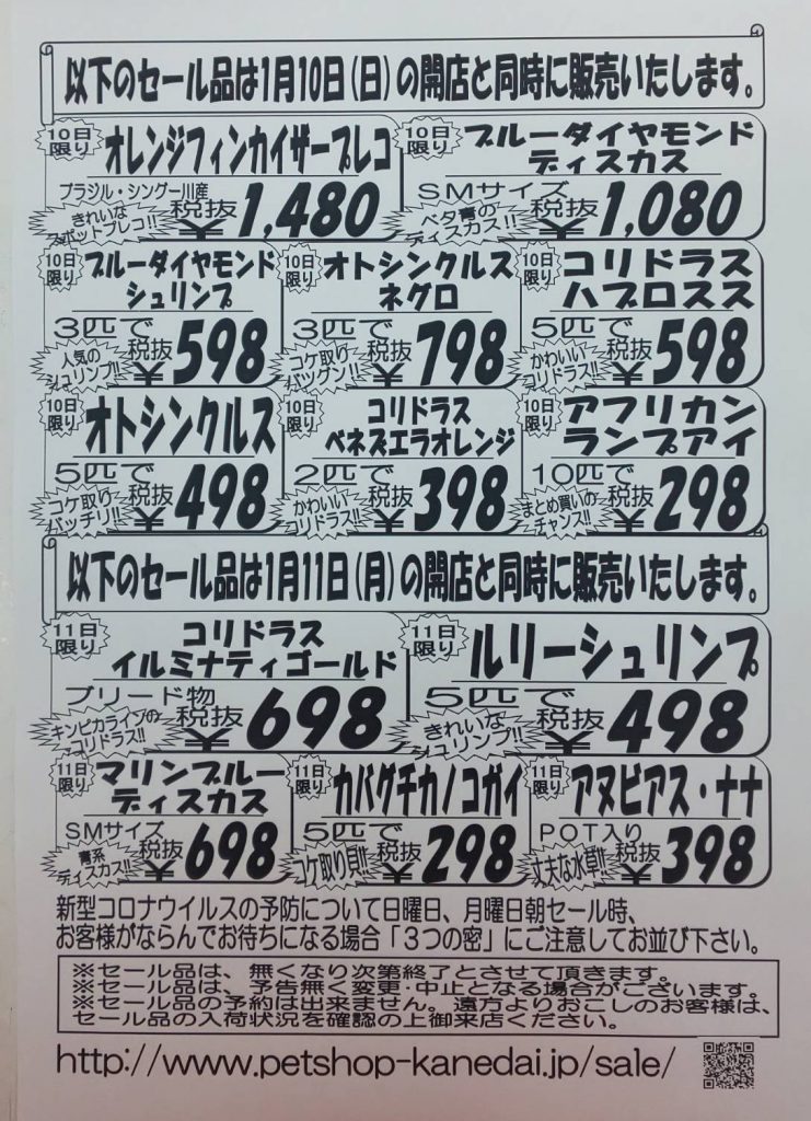 かねだい通常セール復活 １月９日 土 １１日 月 現金ポイント５倍セール アクア ペット かねだい