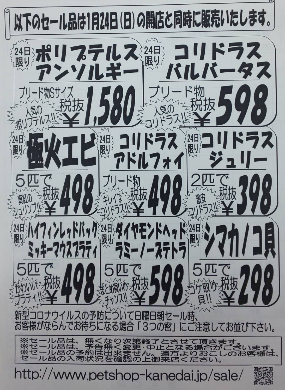 １月２３日 土 ２４日 月 現金ポイント５倍セール 熱帯魚 セール 安い アクア ペット かねだい