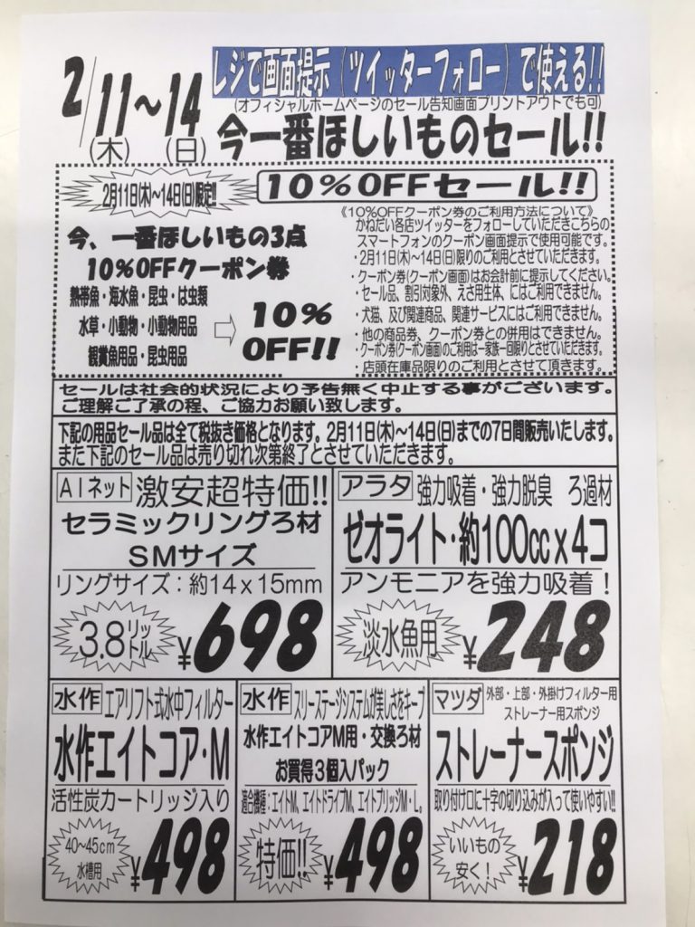 ２月１１日 木 １４日 日 今一番ほしいものセール 激安 熱帯魚 セール アクア ペット かねだい