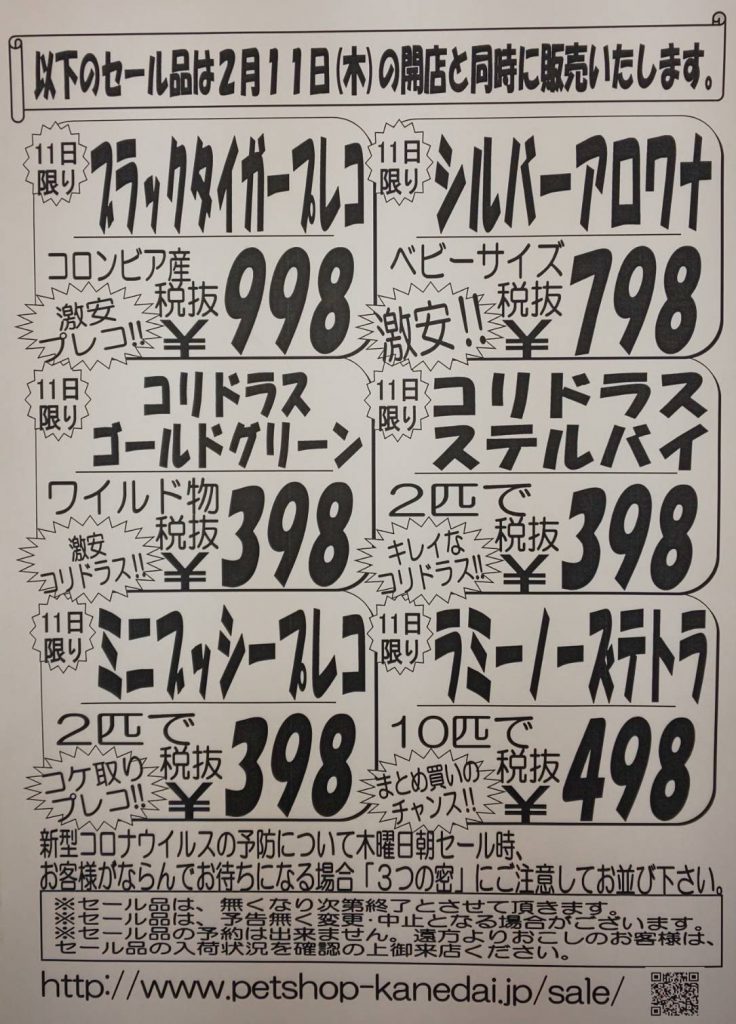 ２月１１日 木 １４日 日 今一番ほしいものセール 激安 熱帯魚 セール アクア ペット かねだい