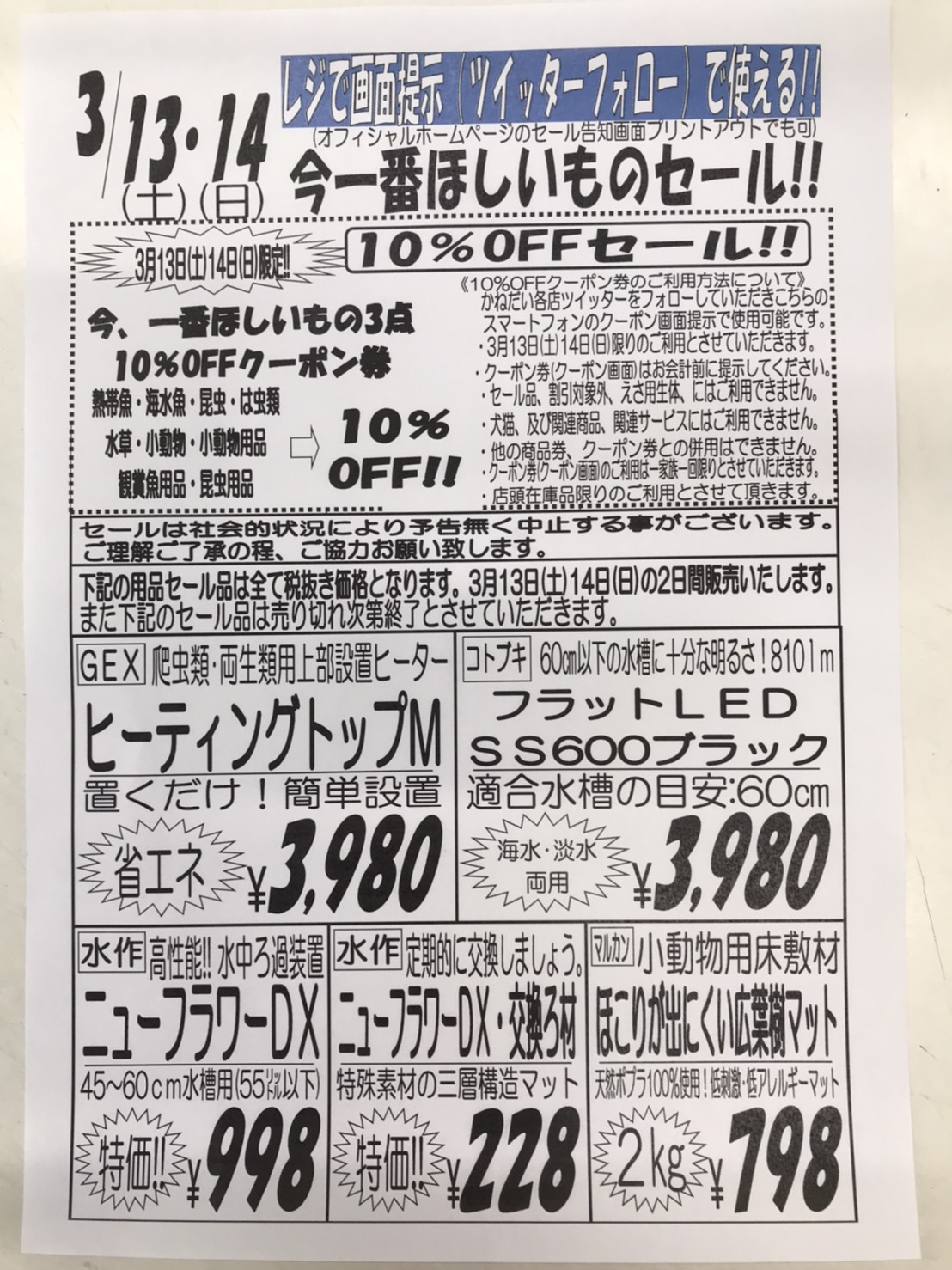 ３月１３日 土 １４日 日 今一番ほしいものセール 安い 熱帯魚 セール アクア ペット かねだい