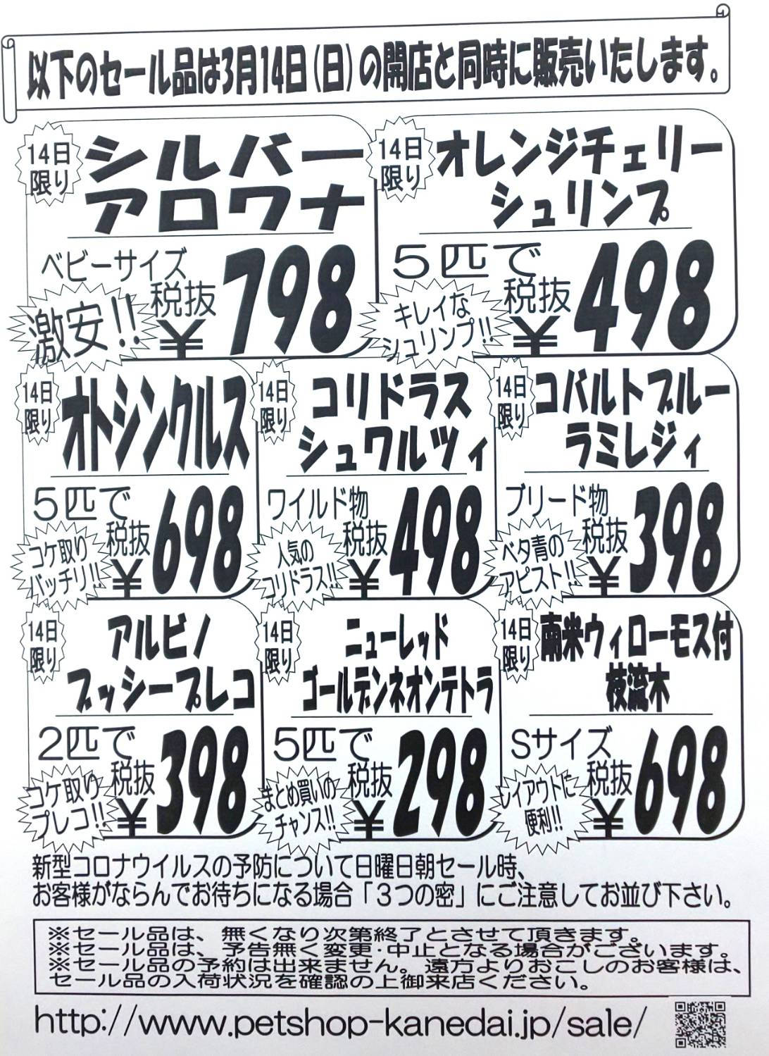 ３月１３日 土 １４日 日 今一番ほしいものセール 安い 熱帯魚 セール アクア ペット かねだい