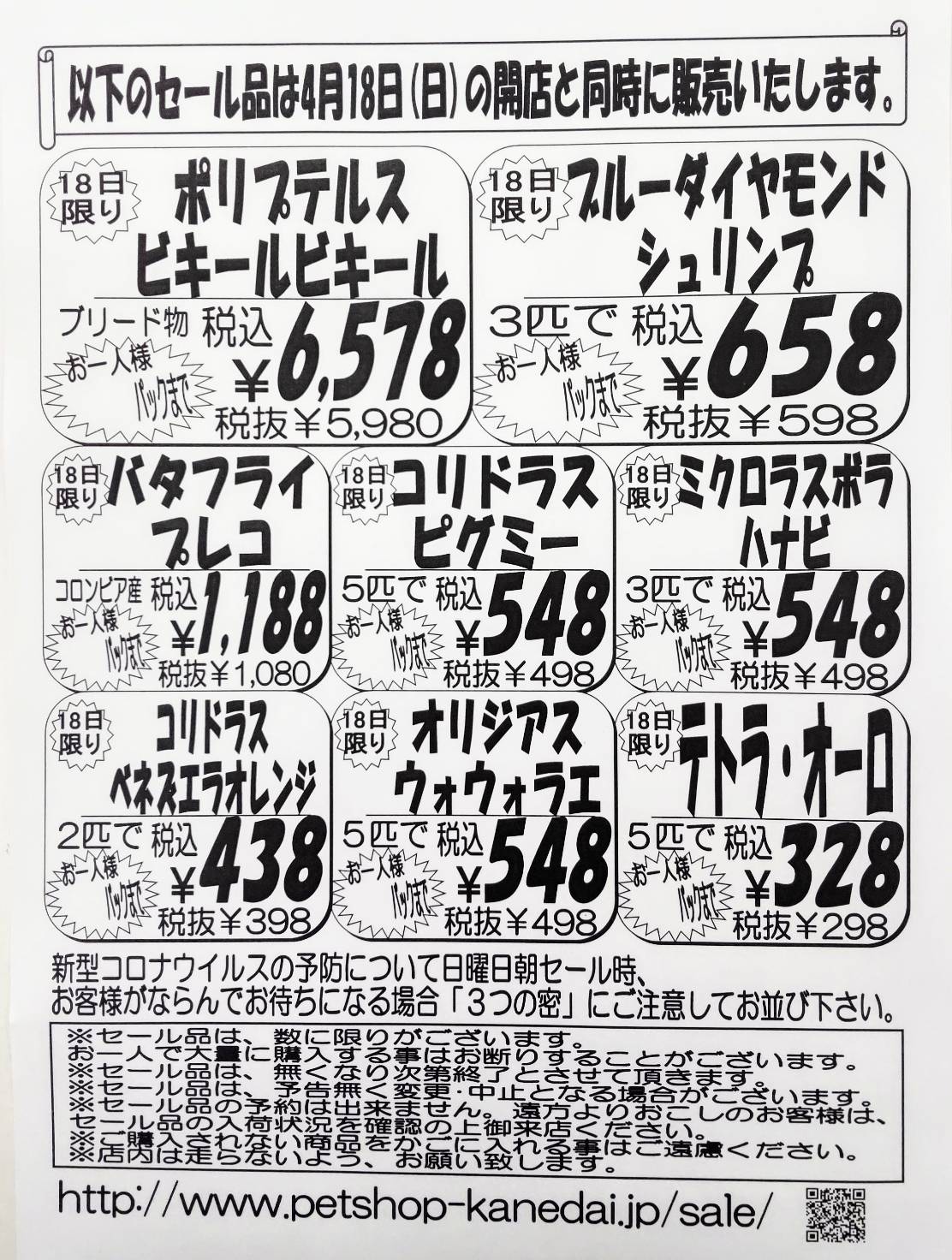 ４月１７日 土 １８日 日 現金ポイント５倍セール 熱帯魚 セール 安い アクア ペット かねだい