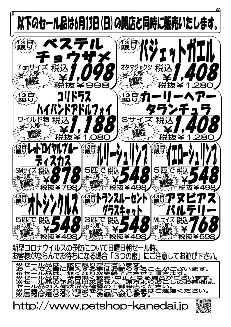 ６月１２日 土 １３日 日 今一番欲しいものセール 熱帯魚 爬虫類 セール 激安 アクア ペット かねだい