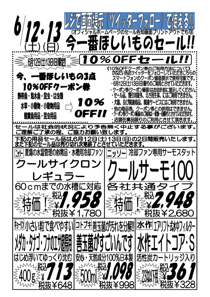 ６月１２日 土 １３日 日 今一番欲しいものセール 熱帯魚 爬虫類 セール 激安 アクア ペット かねだい