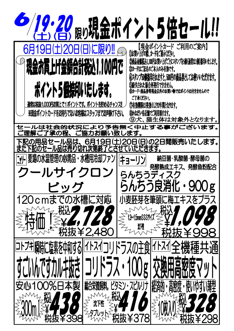 ６月１９日 土 ２０日 日 新セール 爬虫類１点限り Offセール 現金ポイント５倍セール 爬虫類 熱帯魚 セール 安い アクア ペット かねだい