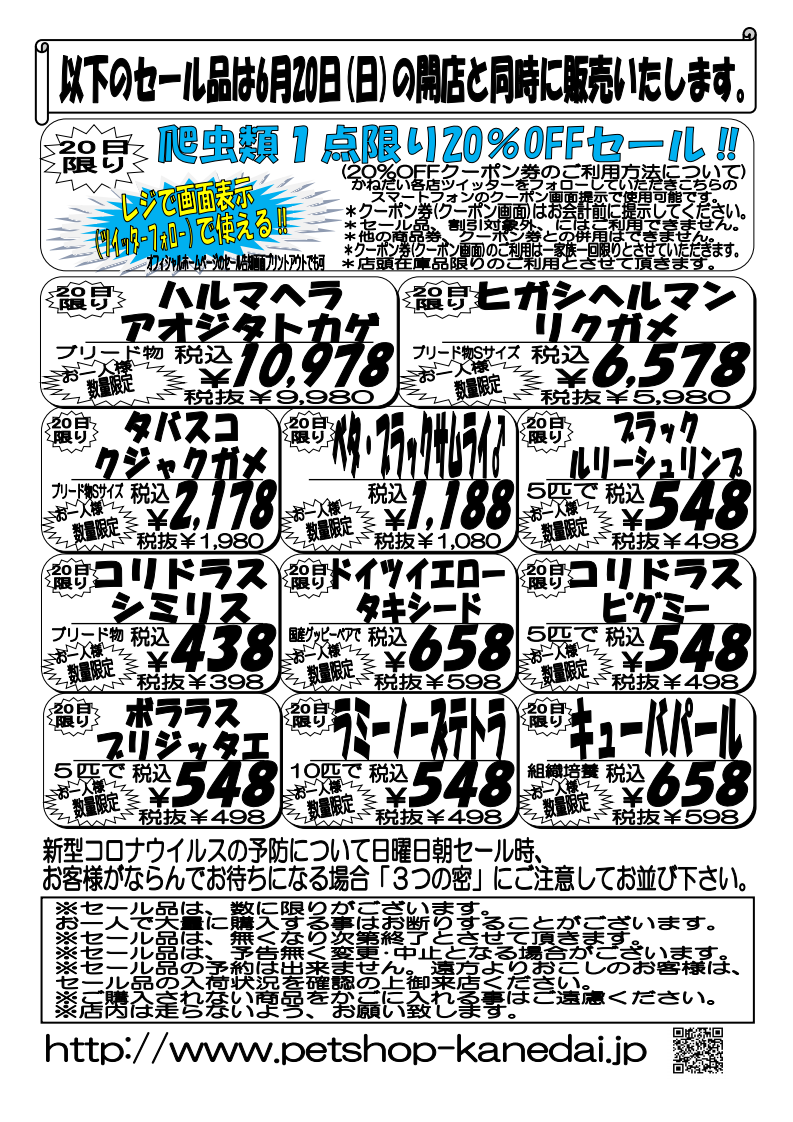 ６月１９日 土 ２０日 日 新セール 爬虫類１点限り Offセール 現金ポイント５倍セール 爬虫類 熱帯魚 セール 安い アクア ペット かねだい