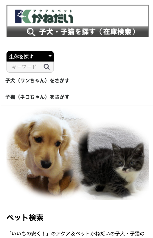 かねだい全店 ワンちゃん ネコちゃん在庫検索サイトオープンのお知らせ アクア ペット かねだい